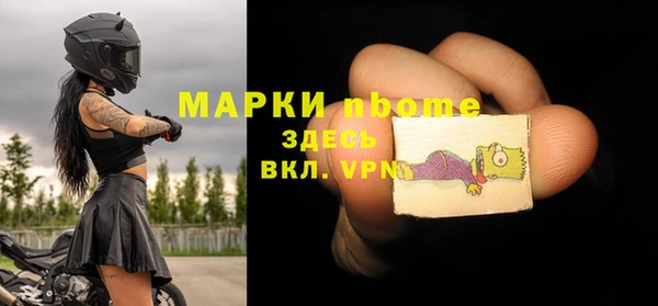 кокс Гатчина