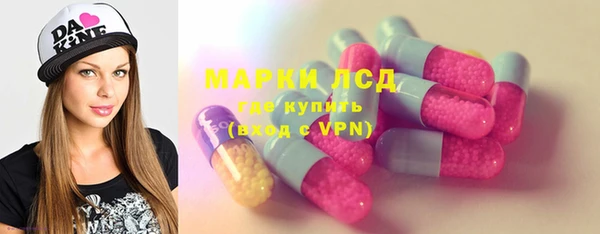 шишки Гвардейск