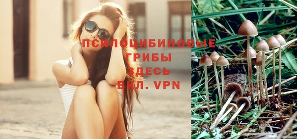 не бодяженный Переславль-Залесский