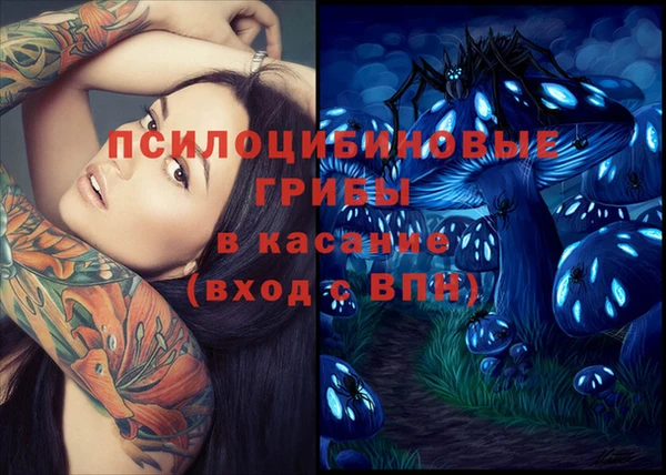 МДПВ Пестово