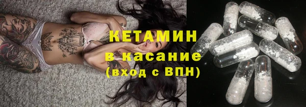 шишки Гвардейск
