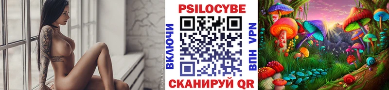 Галлюциногенные грибы Cubensis  кракен как зайти  Никольск 